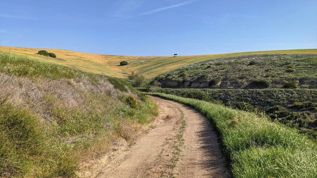 hotel-near-otay-valley-regional-park-chula-vista-inn-ca-usa